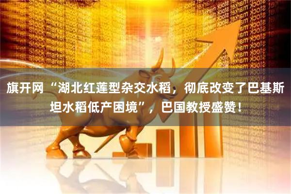 旗开网 “湖北红莲型杂交水稻，彻底改变了巴基斯坦水稻低产困境”，巴国教授盛赞！