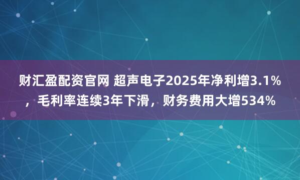 财汇盈配资官网 超声电子2025年净利增3.1%，毛利率连续3年下滑，财务费用大增534%