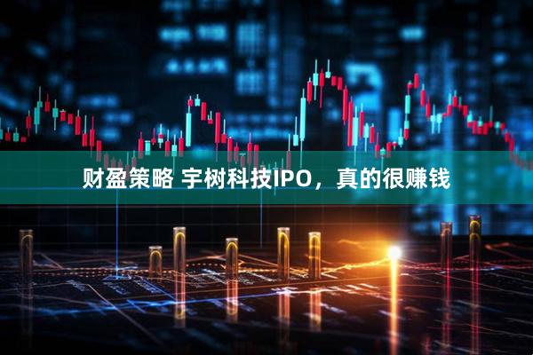 财盈策略 宇树科技IPO，真的很赚钱